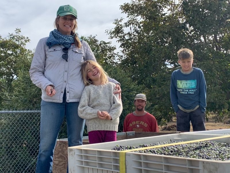 Family after olive harvest with olive bins
